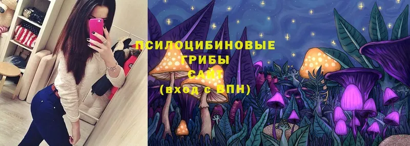 Галлюциногенные грибы Psilocybine cubensis  хочу   Карпинск 